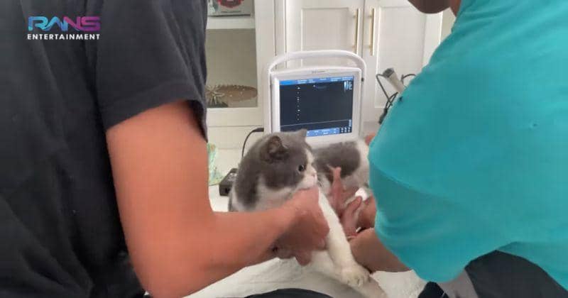 Youtube.com/Rans Entertainment